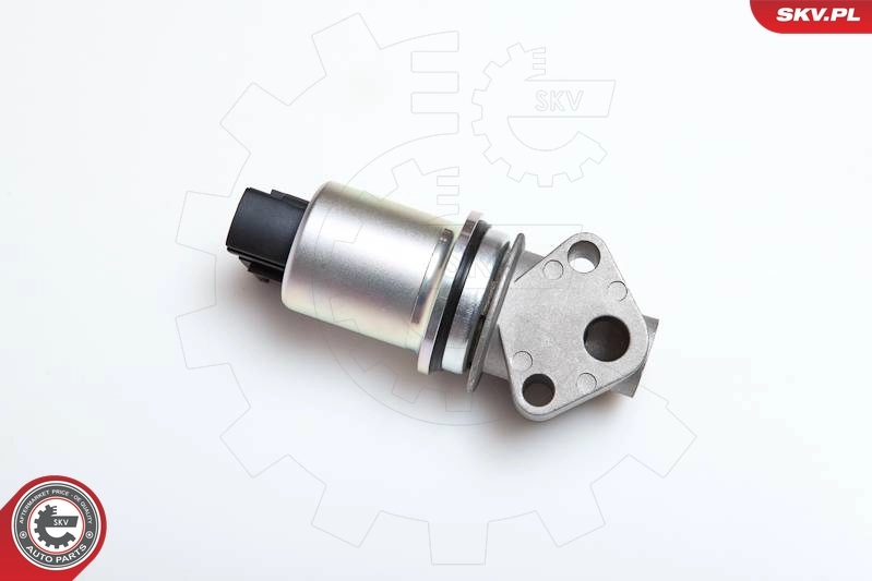 EGR Valve